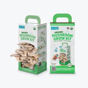 Mushroom Kit Box