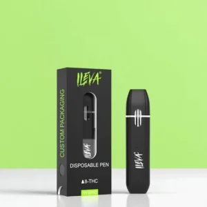 Custom Disposable Vape Boxes